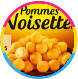 Logo de noaseto, une image ronde de pomme noisette entouré par les couleurs du drapeau pan